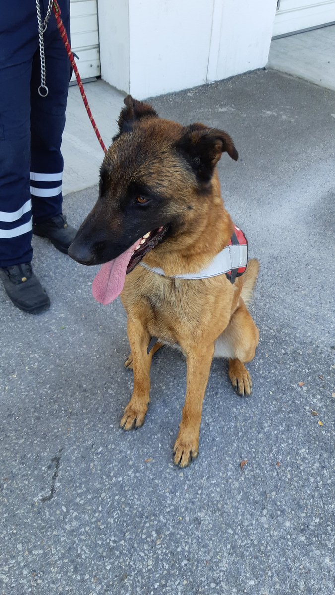 GiganotMarc's tweet photo. Bicentenaire des sapeurs-pompiers d'Avignon https://t.co/Rwhx0asGwm