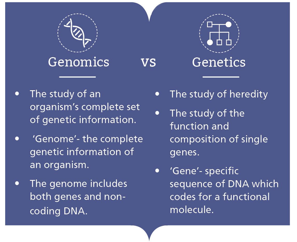 genomicsedu's tweet image. Most people have heard of #genetics in healthcare. But what about #genomics? socsi.in/iECgI