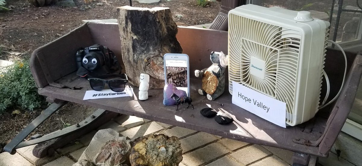 TBaumers's tweet photo. We will miss you all. It’s been a fun summer at #CampHearties !! @LeesPlaidPants @TeamKWC @HicksSecrets @TeamPlaidName @LadiesLumber @SergeantsRiders @HicksSecrets @FansValley @TWagoners #ToastyMarshmallowSquad #CoalValleyCuties #AlwaysCampInPlaid #InPlaidWeTrust https://t.co/hhHp6CQfZI