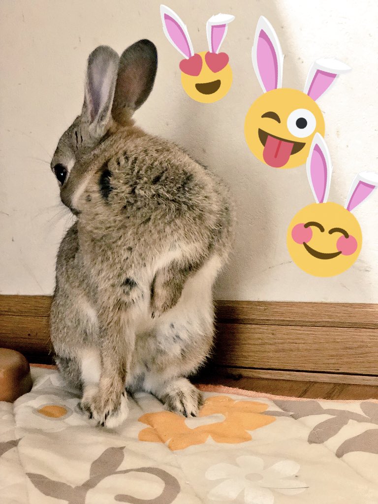 chacha519229's tweet photo. 綺麗好きなの！！ https://t.co/aWt13CE1Sj