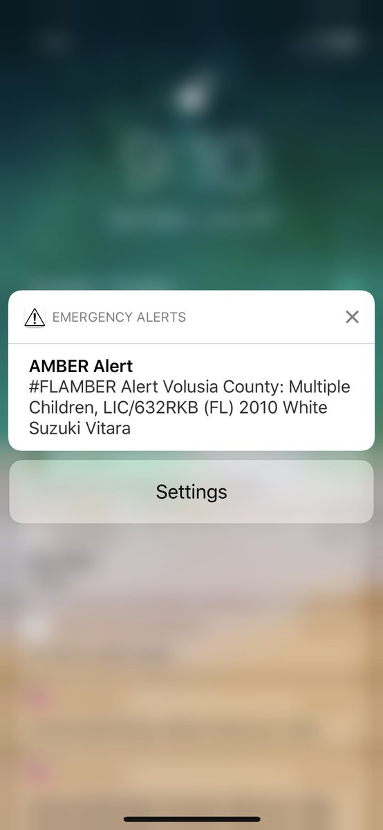 Did the entire state of FL just wake up from this alert 🚨#amberalert #florida #government #stateofflorida #amber #alert