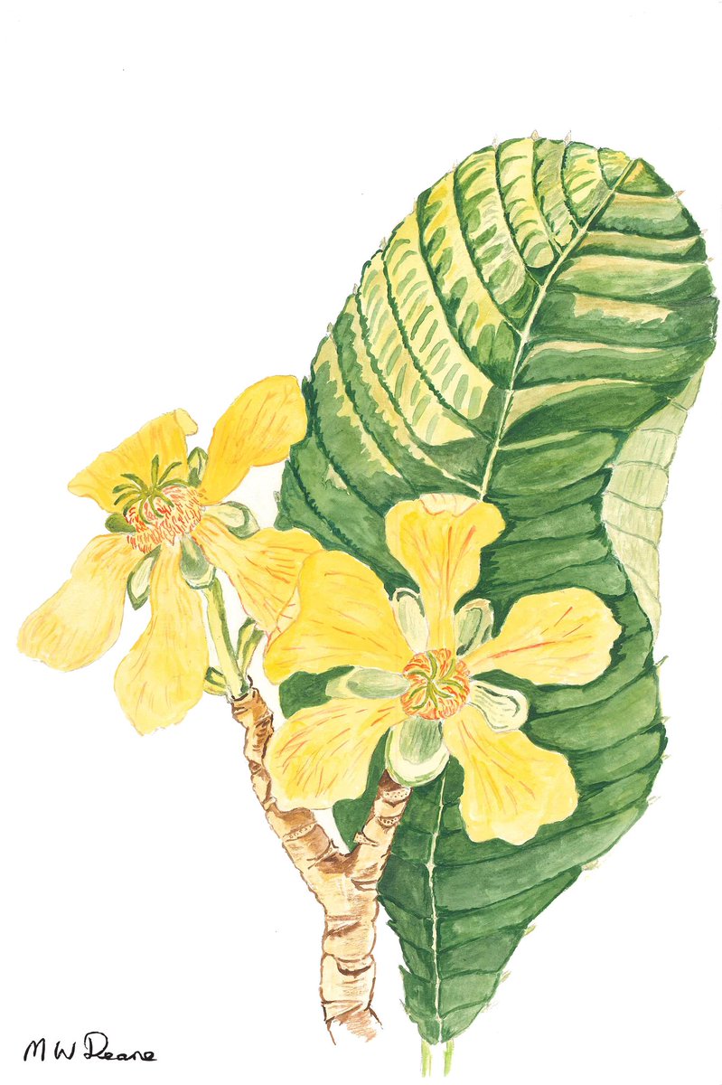 Mirfield Arts Festival tweet media