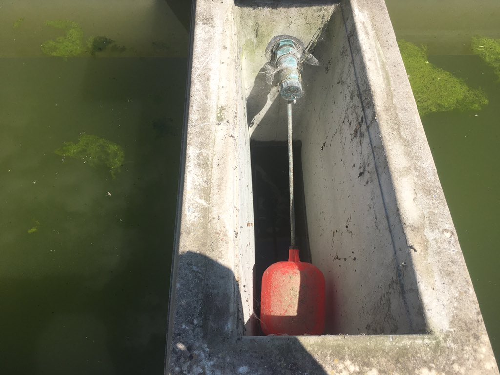 Catherine tweet media