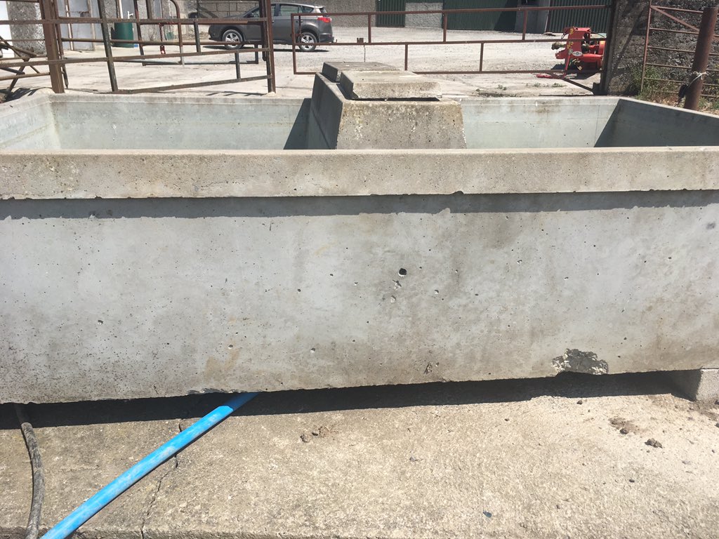 Catherine tweet media