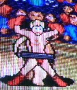 おとうさんゲーマーです レトロゲーム発見隊 なんかスーファミのつっぱり大相撲 では女性キャラが使えるようですね 型破りな感じがつっぱり大相撲らしいです ちなみに未プレイです