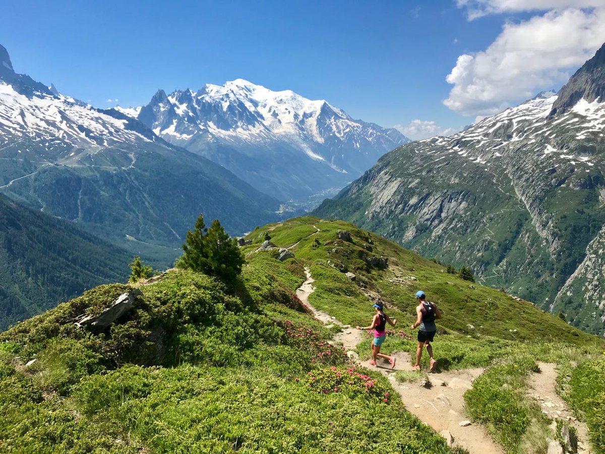 Daneil Feldmann tweet media