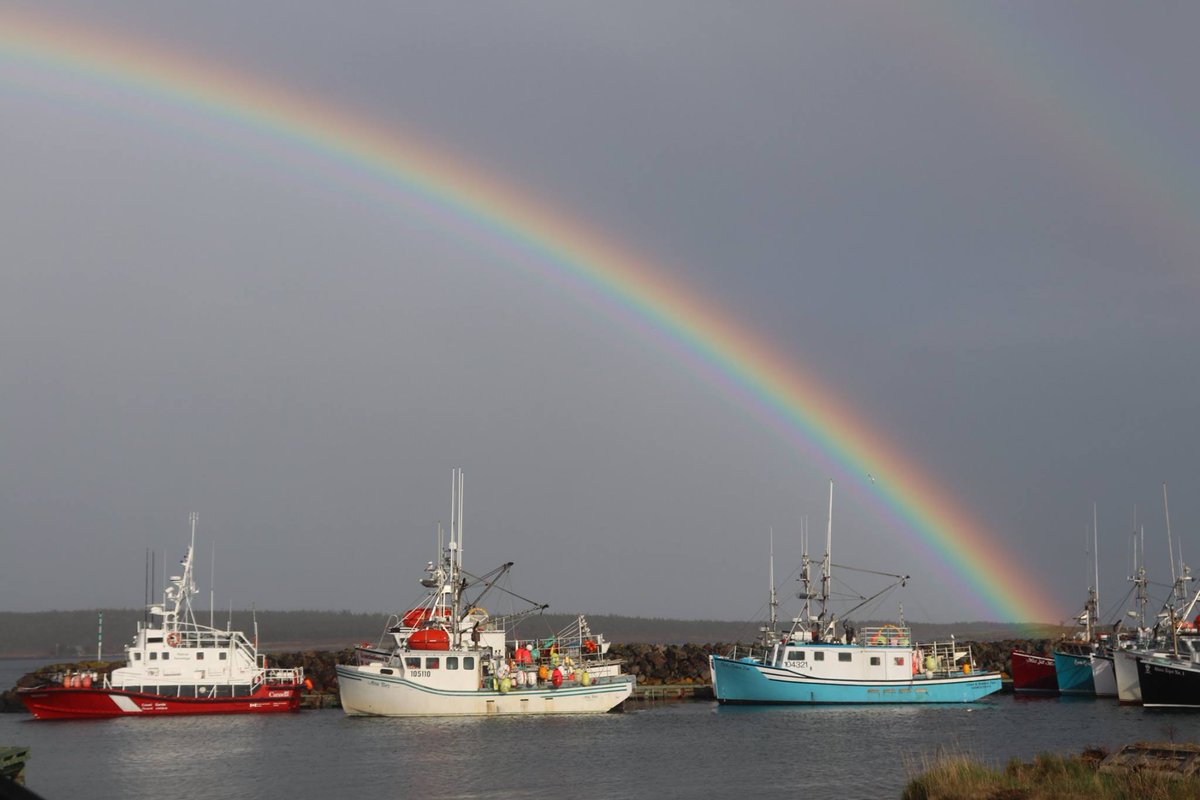 CoastGuardCAN's tweet photo. We want to hear from you! Tag us “@CoastGuardCAN” in your photos – Find us on Instagram! Thank you Penny Graham of Mariner Cruises Whale and Seabird Tours for this pot of gold! #CatchMeOnTheCoast #CCGandMe #SeaTheRed #SocialMediaDay https://t.co/u5E9XMTPhC