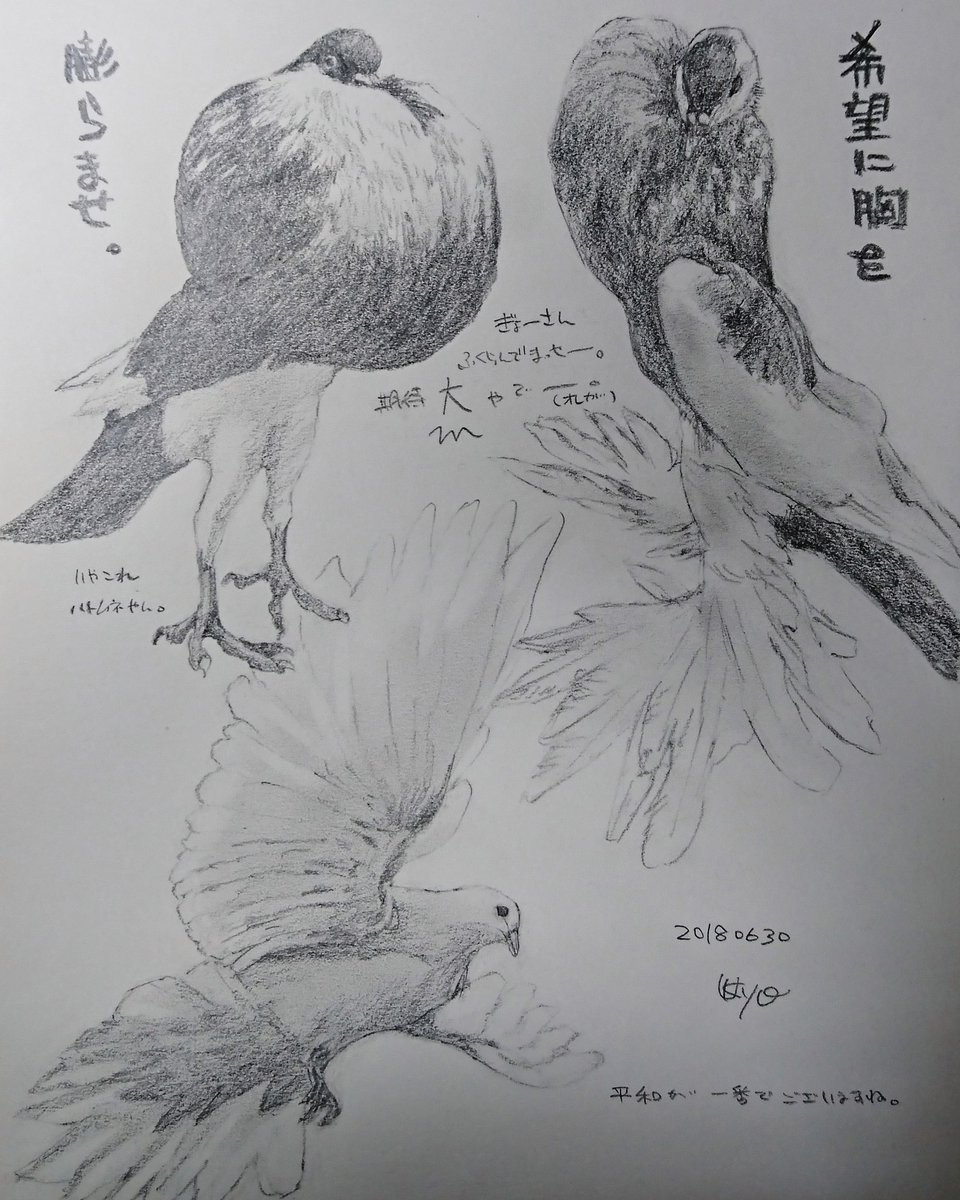 Kagetsu Ukyo 卯京 華月 今日の落書き ハトづくし 何となくキャッチコピーつけたくなりました W 落書き 鉛筆画 練習 息抜き 素描 一日一絵 今日の落書き 絵描き Art 鳥類 鳩 絵描きさんとつながりたい 絵描きの輪 絵描き Kagetsu Ukyo 卯京 華月 今日の落書き ハトづくし 何となくキャッチコピーつけたくなりました W 落書き 鉛筆画 練習 息抜き 素描 一日一絵 今日の落書き 絵描き Art 鳥類 鳩 絵描きさんとつながりたい 絵描きの輪 絵描き