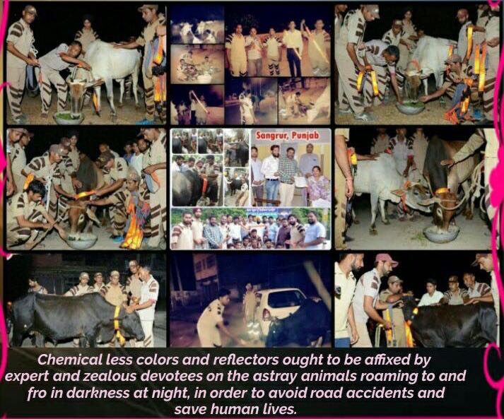 Spectroscopy: The Key to the Stars: Reading the Lines in