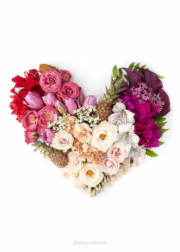 @LouisAshqar @ImSuds <a href="/Sylpete/">💗Sylpete 🌹</a> @robertojimenezm <a href="/DodgeMan2007/">ICE MAN#MAJIX</a> <a href="/meerbakker/">marjolein van der me</a> <a href="/henrirouen/">Henri Rousseau</a> <a href="/xuankiet/">Kiet Do</a> @CristinPereyra <a href="/MenAlyemen_ye/">Men Alyemen</a> <a href="/RosaTrunk/">Rosa</a> @teronAngel @AGHHA1243 <a href="/sikandarmirza10/">Sikandar Mirza</a> <a href="/WALLI27/">Jhon f perez🎶🎸🚵☯</a> <a href="/r95731/">💓 s a R a v 💓 🇮🇳मेरा भारत महान🇮🇳 🥰100 K+🥰</a> <a href="/maype7/">✿⊱ Mayuli Peña R ✿⊱</a> <a href="/jan09235696/">Jan Musicjan</a> <a href="/Tana_Pato/">♡☆ƬαƝα☆♡</a> @MarianeOndina0 @joeldesouza2626 <a href="/Ruby74698396/">Ruby🆘VetsResistSupport #DemCast</a> <a href="/Silviadomi22G/">♕Lady in Red ❤</a> <a href="/tere_a77/">♡♡Tere♡♡ 📷</a> <a href="/emt19408/">Ebeny</a> @Roc49612324 <a href="/elsaarellano10/">Elsa Arellano</a> <a href="/BrettCateley/">ifb</a> <a href="/GoncaloValva10/">☠Gonçalo☠unf=unf☠</a> <a href="/hamoo5000/">hamo</a> <a href="/SimplesmenteSyl/">💄💋🍓SYL🍒👠🍷</a> <a href="/albertoso50/">Alberto Solar</a> <a href="/DeFaukatrua/">Edu live</a> <a href="/MoineChristell2/">Moine Christelle</a> @Chandra1Vinod <a href="/vickiemoore07/">Vickie 🌸🙋🏻‍♀️😊</a> <a href="/Jilliemary/">Jillian Peeling</a> <a href="/DineshT16142176/">DineshTiwari</a> <a href="/fevziates3/">❤⭐#EADT17❤</a> <a href="/ranasilvia63/">Luna OM</a> <a href="/EliLeonarda/">👄☀ Ệŀïẓäńġệŀä 🌷🌿</a> <a href="/AraceliSalaiz/">Amunet</a> <a href="/maryrock180457/">🇧🇷Mari Marques🤘🎶🎸🎹</a> <a href="/IeronimBo/">De'Bosch</a> @SILVIADOMI222 <a href="/IsabelPerez1232/">💦Isabel Perez 💦</a> <a href="/GOODFATHER_71/">🇬 🇴 🇴 🇩 🇫 🇦 🇹 🇭 🇪 🇷 71</a> @chediakluisa <a href="/LoveAnd69769401/">Love And Peace🇲🇽</a> <a href="/SuFernandes68/">Sueli Fernandes</a>