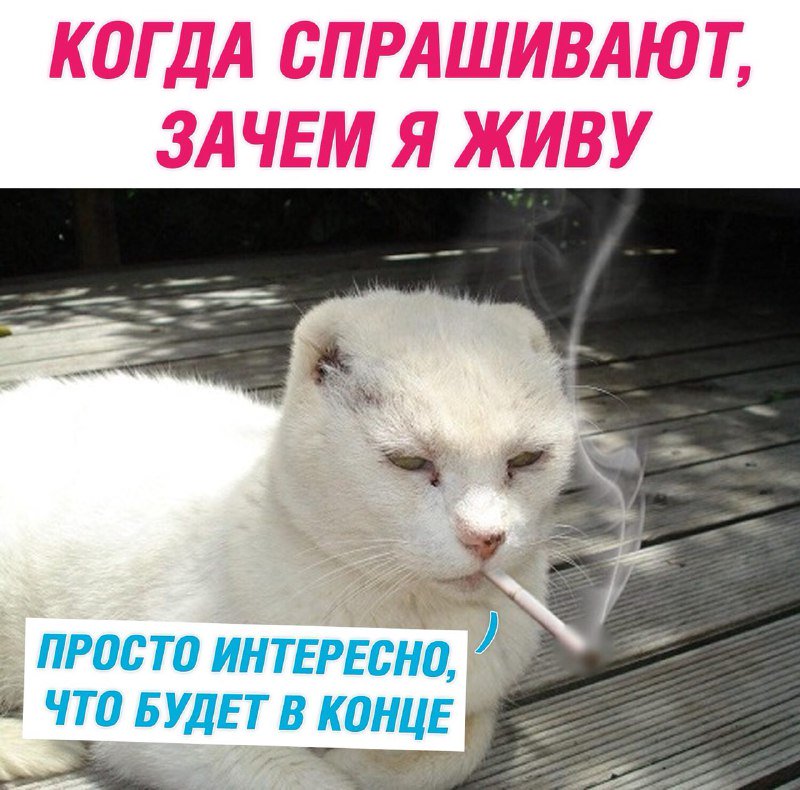 Сделай мне что то интересное. Сделай мне что то интересное