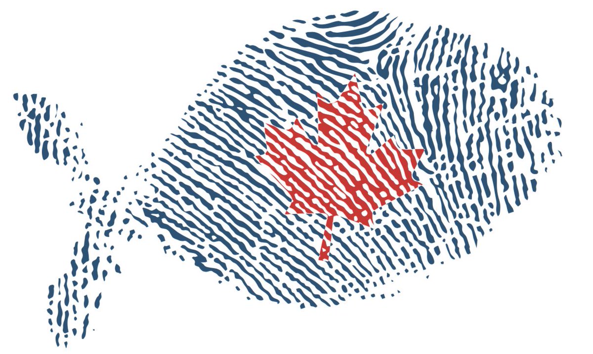 Happy Canada Day Weekend! 

We’re open today @historicfarmersmarkethfx till 1 and at the shop till 5. We’re closed on Canada Day and on Monday, so stop in today for your fix of fresh fish. 

#slowfishcanada #freshfairfish #oysterparty #canadaday