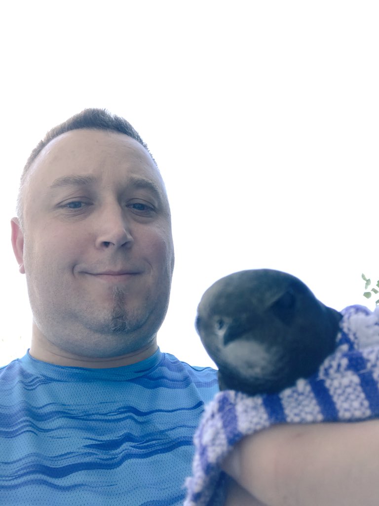 Qlimax54's tweet image. Inko found a bird near our house it's a swallow I picked it up and inspected to see if everything was fine, she was a little scared, finally she let herself go 🐧🏥 #GoodAction
