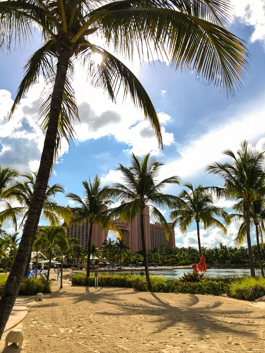 atlantisbahamas's tweet photo. Best Fronds Forever 
#dolphincay #atlantisbahamas #bahamasatheart https://t.co/PUYsHRtgKR