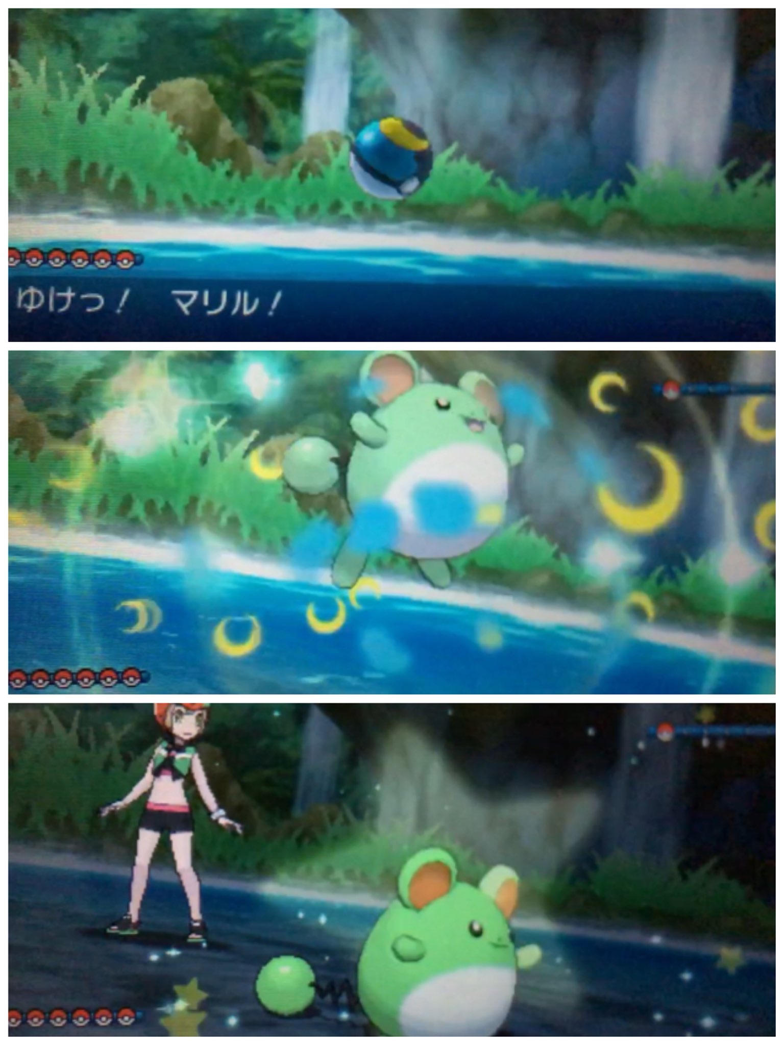 ぽめろん Pa Twitter 島スキャンで色みずねずみ見つけた 可愛すぎて思わずムンボ投げた ずっと大事に取っといたムンボ 最初で最後のムンボ 緊張したけど無事ゲット 黄緑マリルかわいい 色違いポケモン サンムーン 島スキャン