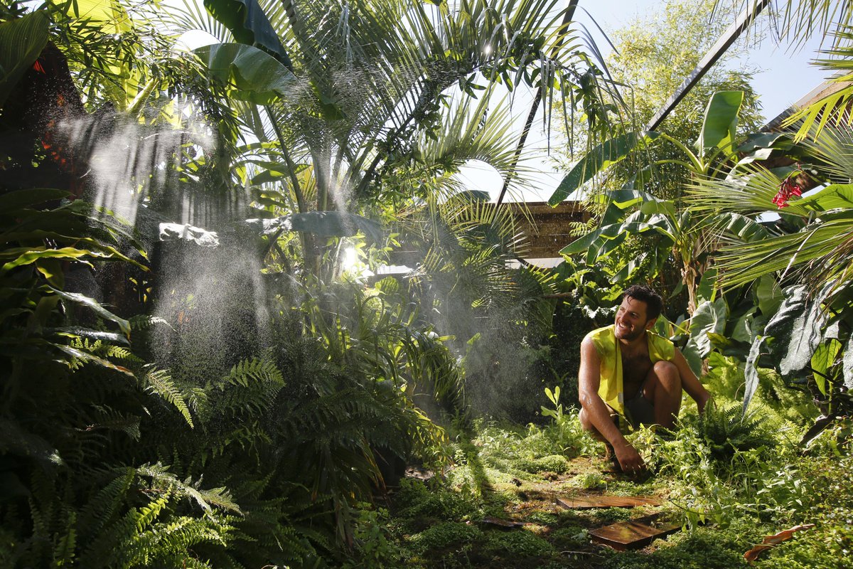 The_RHS tweet picture