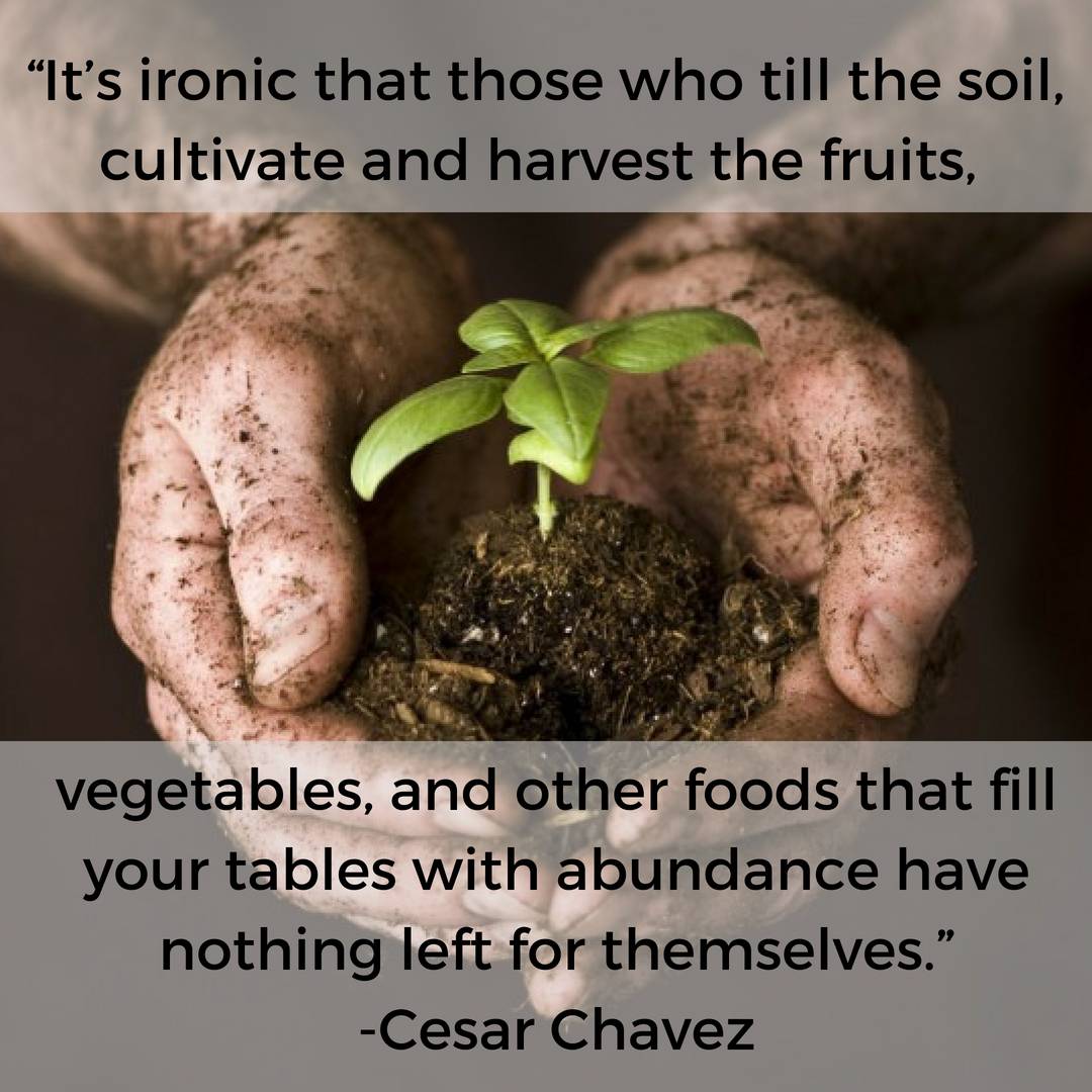 We will always be outspoken for the fundamental right of those who labor to be paid fairly for their work.

#urbanfarming #farmersmarket #localfarm #familyfarm #unionstation #highlandsquare #cherrycreek #southpearl