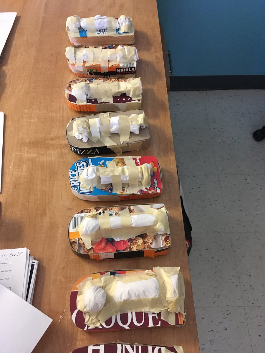 MissCPurcell's tweet photo. Grade 4 sarcophagus’ turned out amazing!! #socialstudies #ancientcivilizations https://t.co/VALoJ5xirK