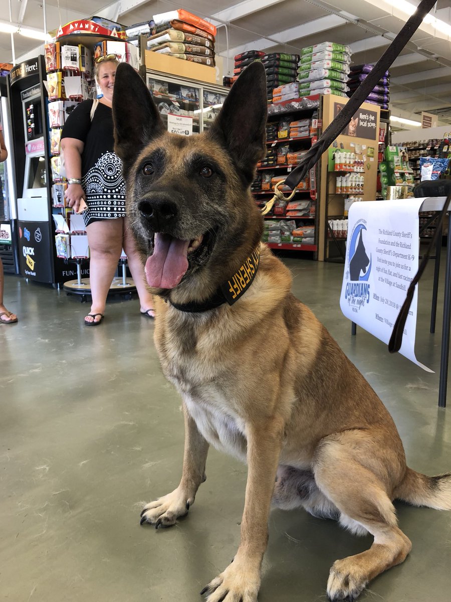 pet supplies plus hoover