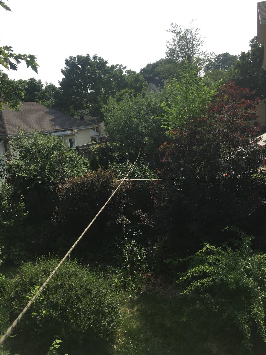 Megan Telfer On Twitter That Time When Your Neighbours Go Away