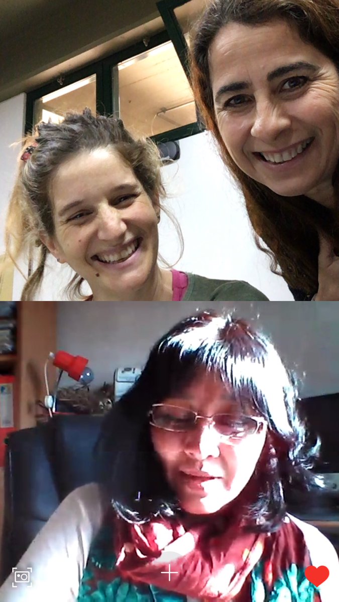 avirtual's tweet photo. La videoconferencia la vedette de los coloquios!!! Gracias Carmen, Cecilia, Magdalena y Cristina!!!! Supertutoras virtuales!!! #postitulos @claucasariego https://t.co/hf5WpTPG5l