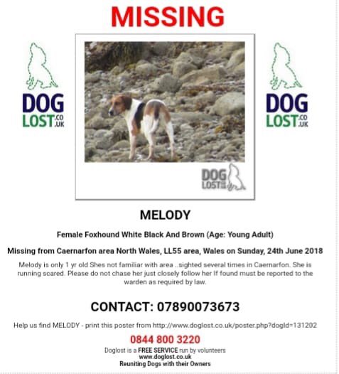 Rosie Doc tweet media