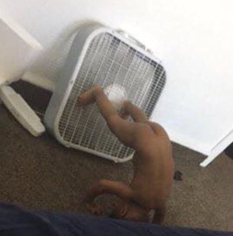 DavisSaldana's tweet photo. Mood https://t.co/z9xL6tWIOx