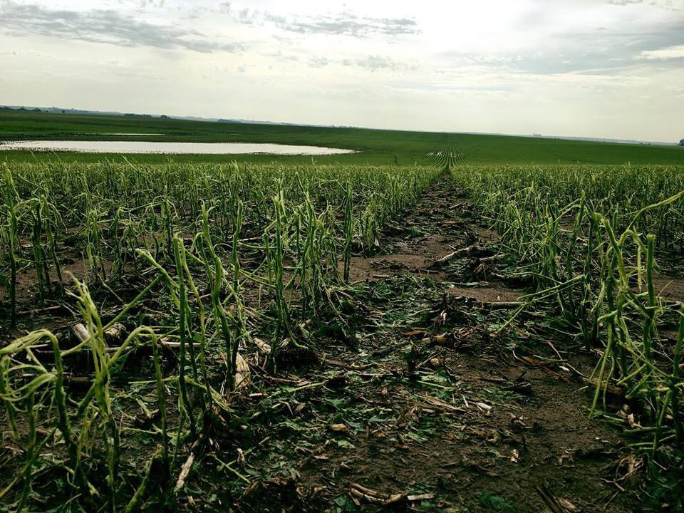 JustinDoerr's tweet image. High winds &amp;amp; Hail East of Plainview, Nebraska. facebook.com/669683207/post…