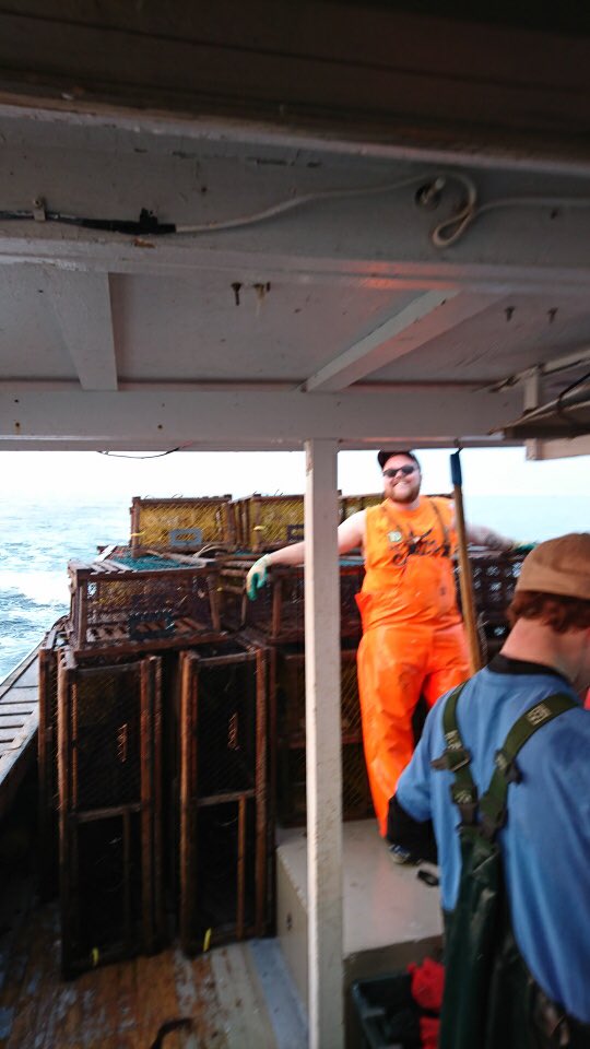 It wouldn’t be a good landing day without the colour orange! #lobsterfishing #oilgear