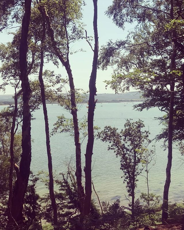 Scorcher of a day #brownseaisland #sea #trees #redsquirrel #beach #summer #saturday #roadtrip #weekend #nationaltrust #island #poole #dorset ift.tt/2MyJTGq