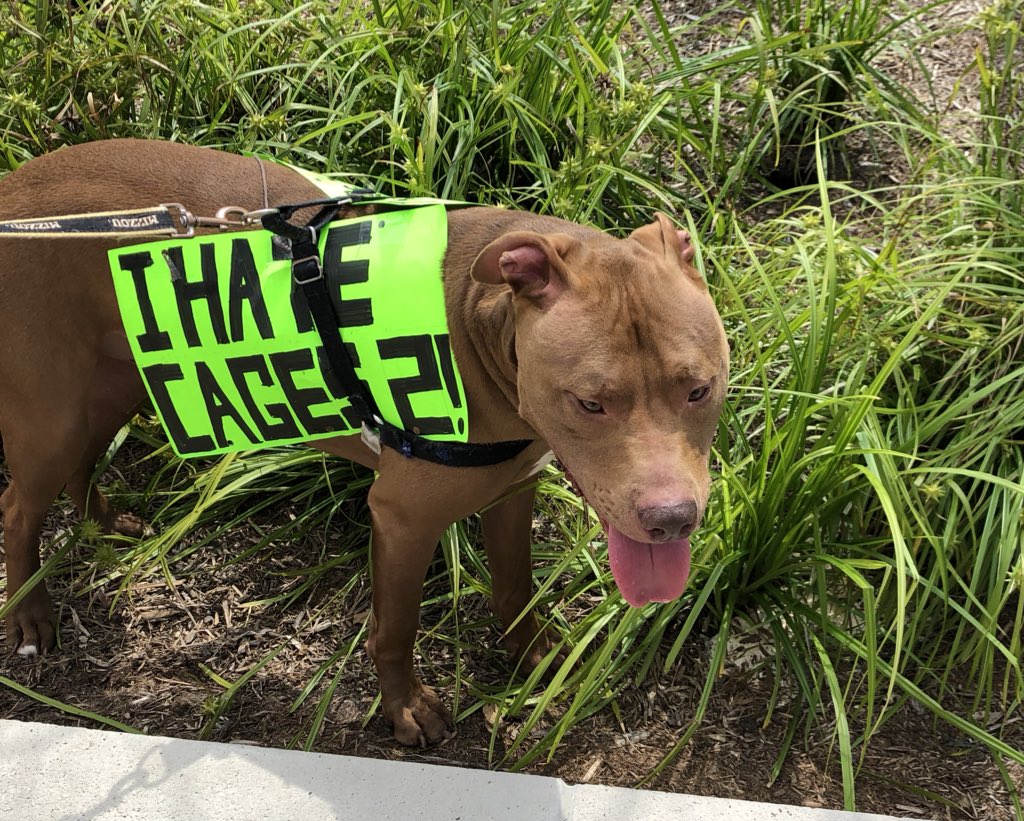 Dg9Jb8BVMAABsIg?format=jpg&name=medium