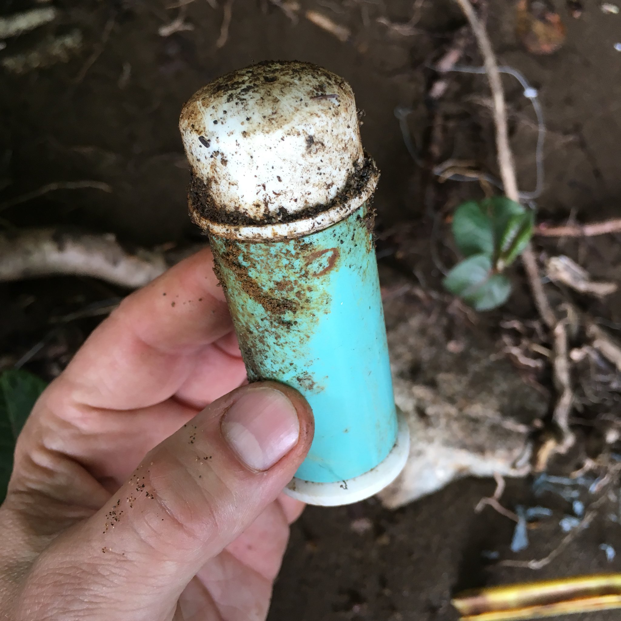 Fraser River Finds on Twitter: "How cool this old Blue Grass cream deodorant by Elizabeth Arden?! Fraser River beach #fraserriverfinds #mudlarkyvr https://t.co/yxF8Xfrbft https://t.co/fCdO713O0u" / Twitter