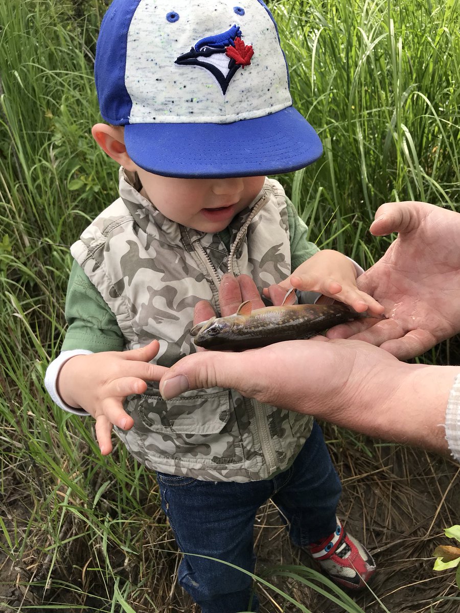 hallkr14's tweet photo. Logan’s first fish! He even caught one of my favourites. #startthemyoung #brooktrout #fishing #FlyFishing #flyfishingnation @Secret_creek https://t.co/LY4RwBRB1q