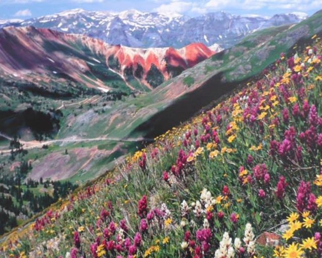 RspaceDurango's tweet photo. The Rocky Mountain Uke Fest is an annual event in Durango, Colorado. Workshops and concerts for all ukulele enthusiasts! Come to the Rochester from 5-7 pm on Friday, July 13th to join us for this event and see what it is all about. https://t.co/wSVn5Y7BzX