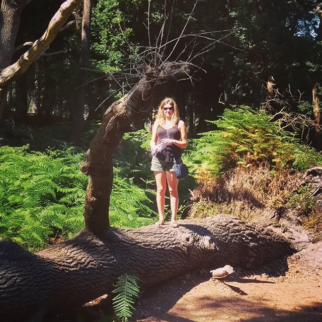 Saving the #ewok #forestmoonofendor #forest #sea #trees #redsquirrel #beach #summer #saturday #roadtrip #weekend #nationaltrust #island #poole #dorset ift.tt/2yXQpVg