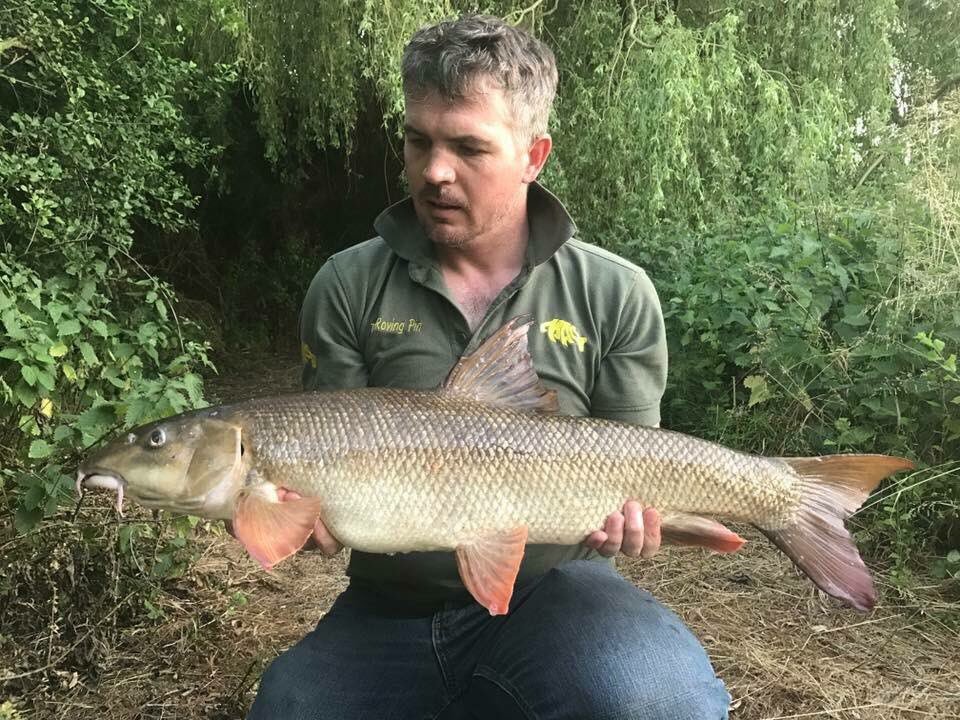 barbel bait