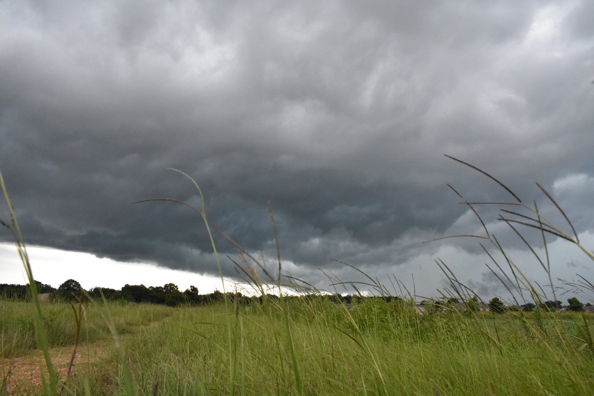 DoddyRicch's tweet photo. Now accepting job offers for storm chasing @wsfa12weather @WSFA_Amanda https://t.co/8dBaQ9Mo0a