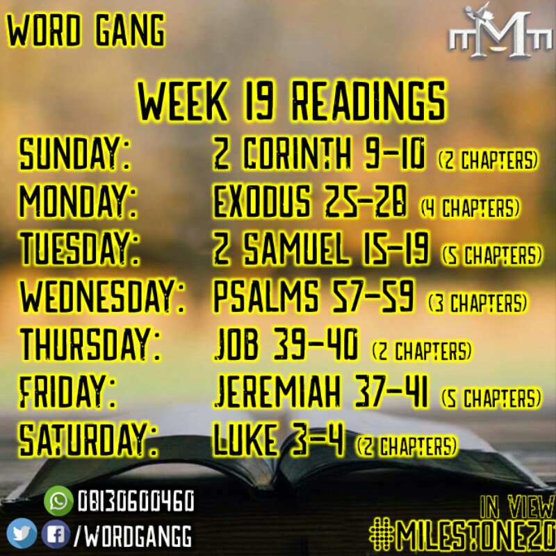 WordGangg's tweet photo. Week 19! What a journey this has been!

@DafidiKunle @MMMToday
#WordGang https://t.co/axJIMfFGCa