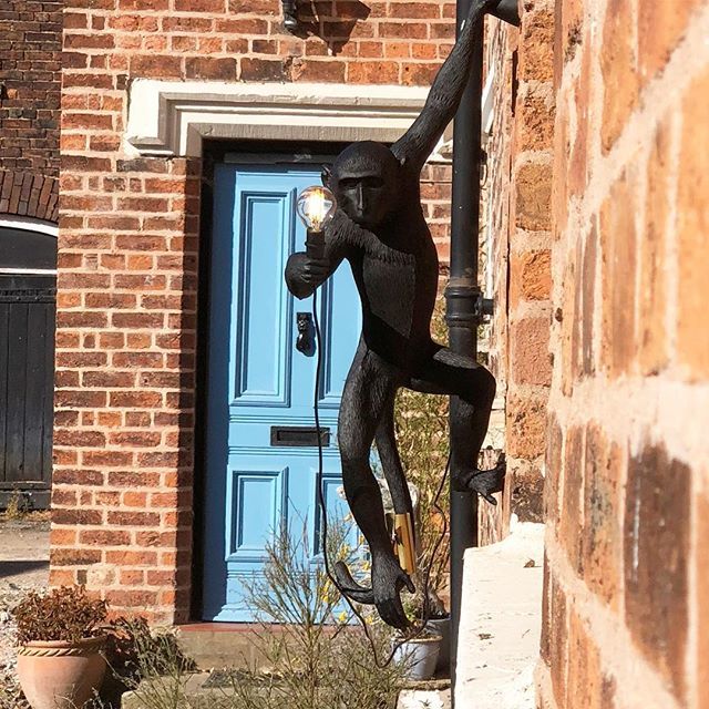ARBOLhouse's tweet photo. I might be somewhere else but my monkey is waiting there for me by the front door! #monkey #monkeylight #arbolhousechester #interiordesign #interiorismo #interiorstyling #farmhouse #farmhousestyle #innovativedesign https://t.co/R5y2kbc96i https://t.co/4qCuZrFXKa