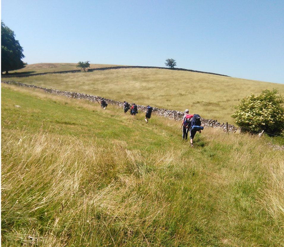 STMCAdofe tweet media