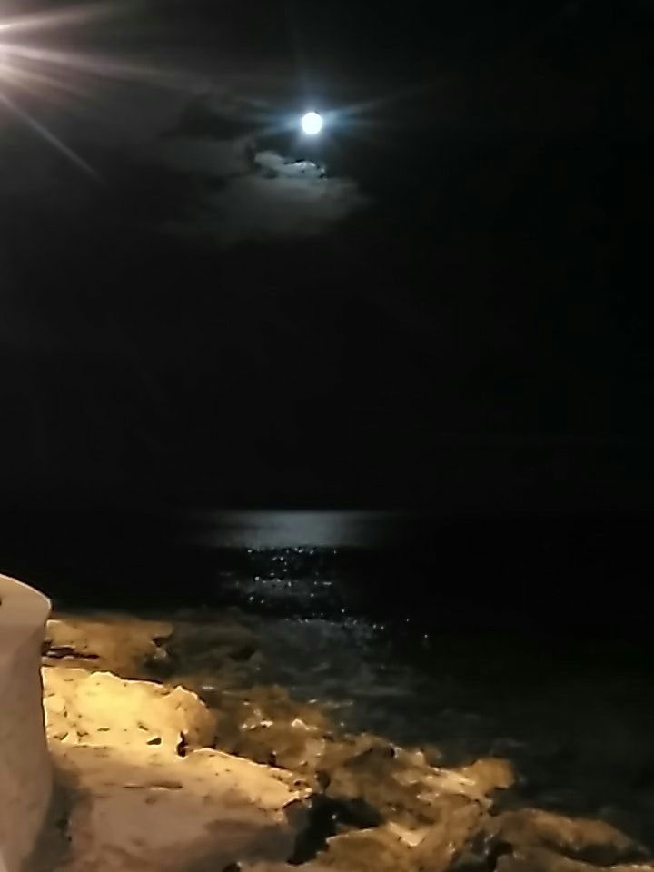aaa22_bb's tweet photo. أنا لستُ أعرِفُ كيفَ أختِمُ ما بدأْ
فهلِ الخِتامُ يكونُ بعدَ مماتي ..!! https://t.co/CgkiY4a8Mt