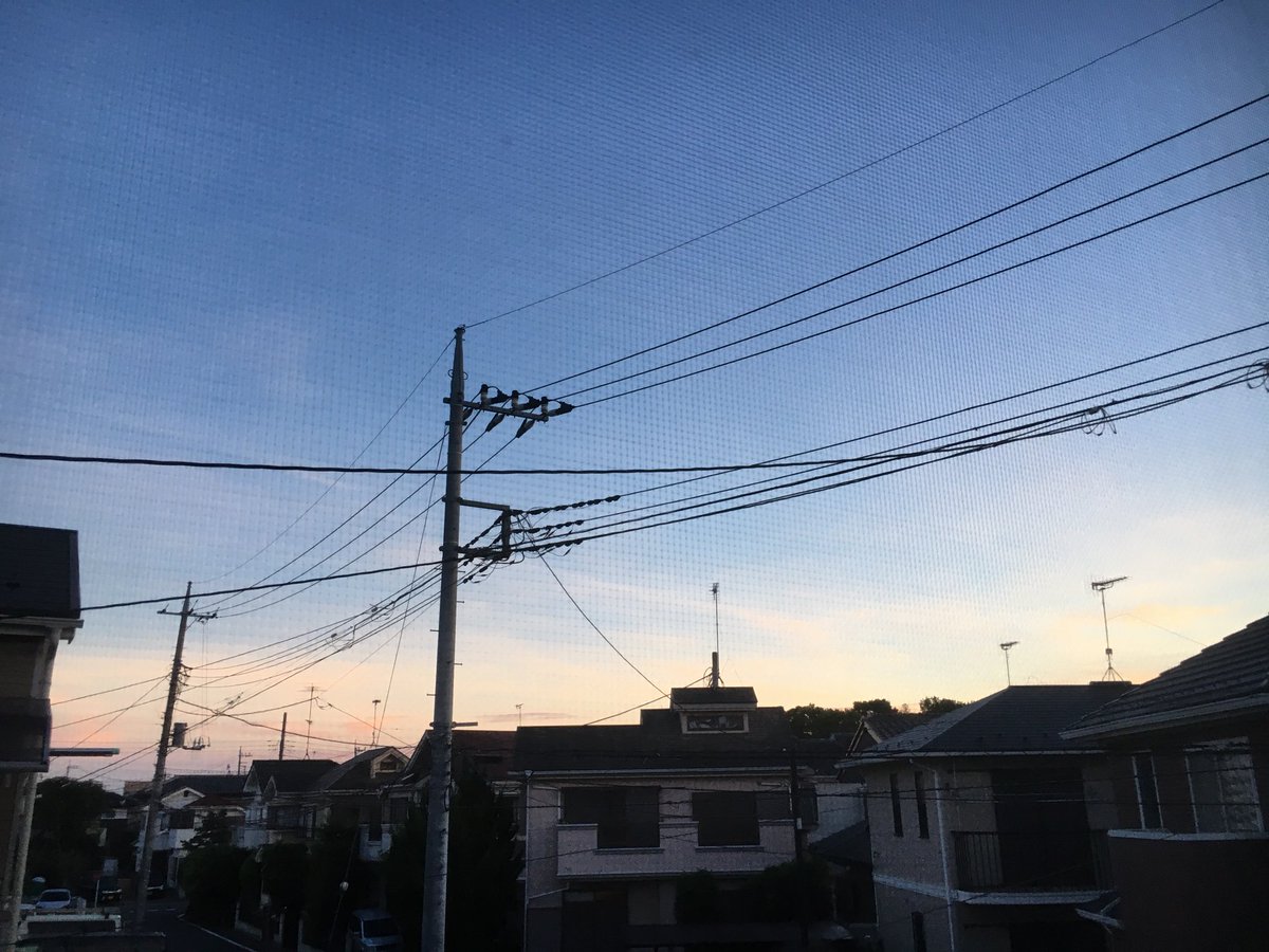 Ryota0708aaa's tweet photo. 4時なのに明るくね？ https://t.co/U3Z1nFffaZ