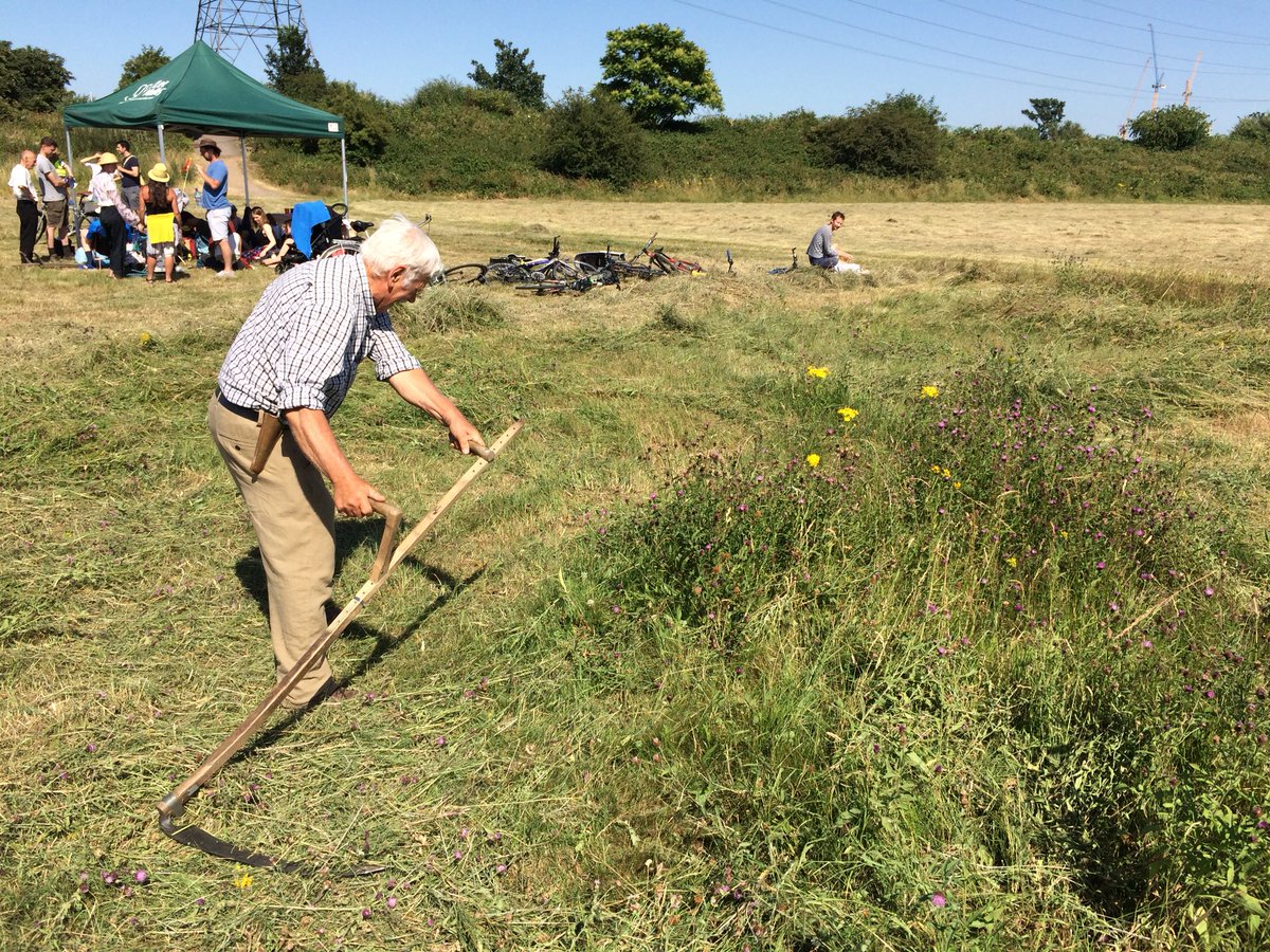 etlawlor1's tweet photo. Community Haystacks today on the Lammas Meadows at #Walthamstowmarshes #scything was the traditional method used for cutting the hay each year. Cutting the meadows each year helps us maintain the rich diversity of plant life found in the grasslands here https://t.co/T1ikdBaXYZ