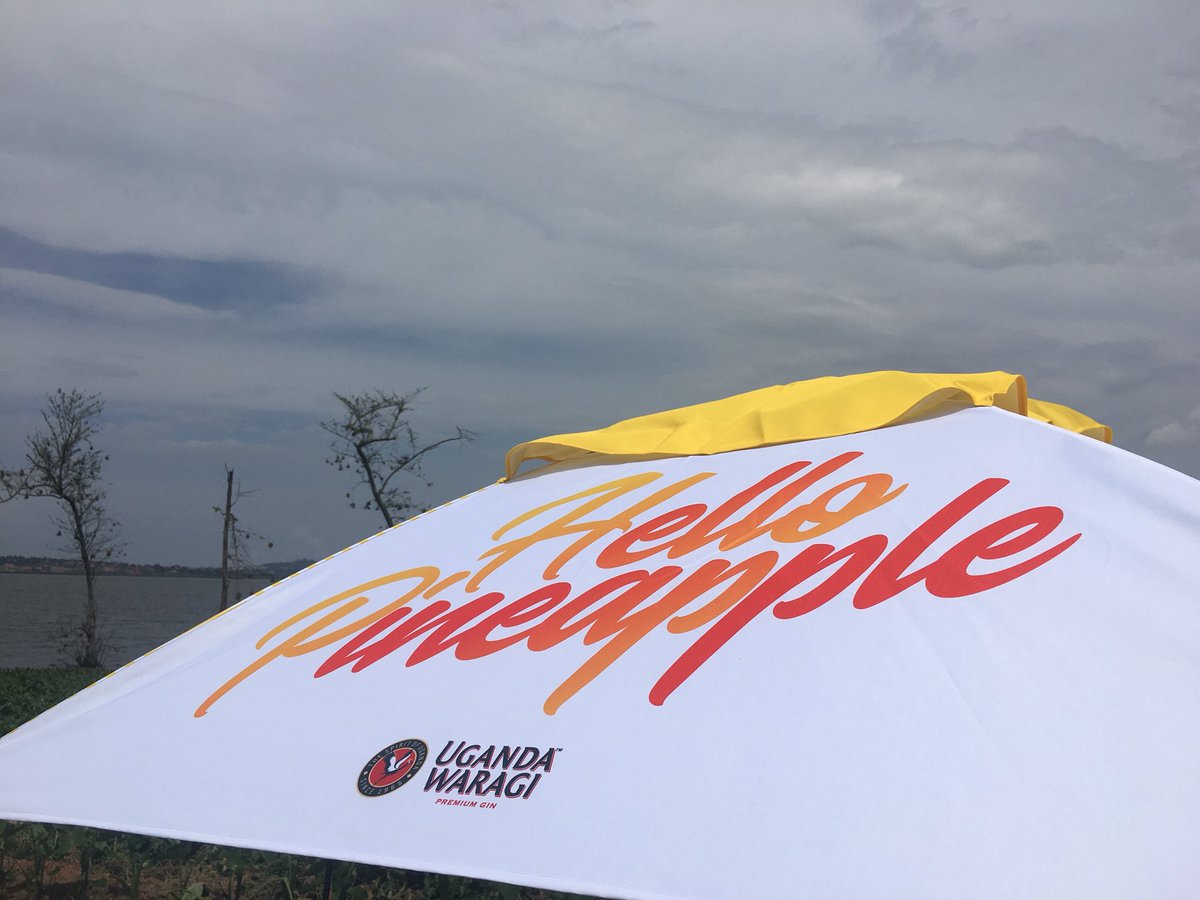 Jeffreyamani2's tweet photo. It’s all about the pineapple flavor #HelloPineapple @UG_Flavours https://t.co/p6VKqqAesP