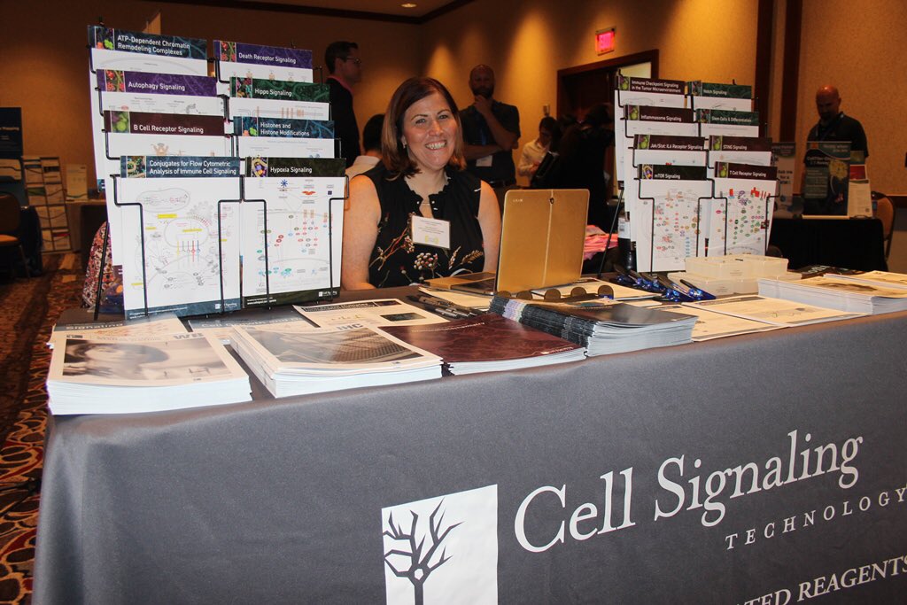 SEASR (@seasrabrf) on Twitter photo Thank you Cell Signaling Technology for you sponsorship and hosting pre-meeting workshop! Thank you Cell Signaling Technology for you sponsorship and hosting pre-meeting workshop!