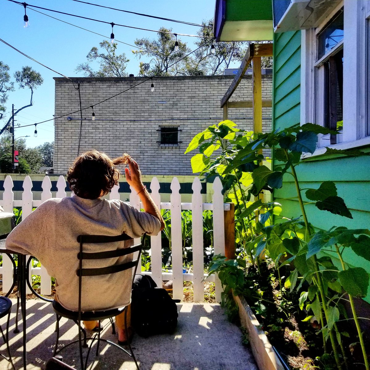 VeganTurnedOn's tweet photo. Hope you all are having a splendid weekend! Thank you to this random dude that perfectly posed for my photo without even knowing it lol! Btw, if you are looking for yummy vegan food in Orlando, @DandelionCafe is the place to be! #vegantravel #orlandovegan https://t.co/NK4o2E1BXu