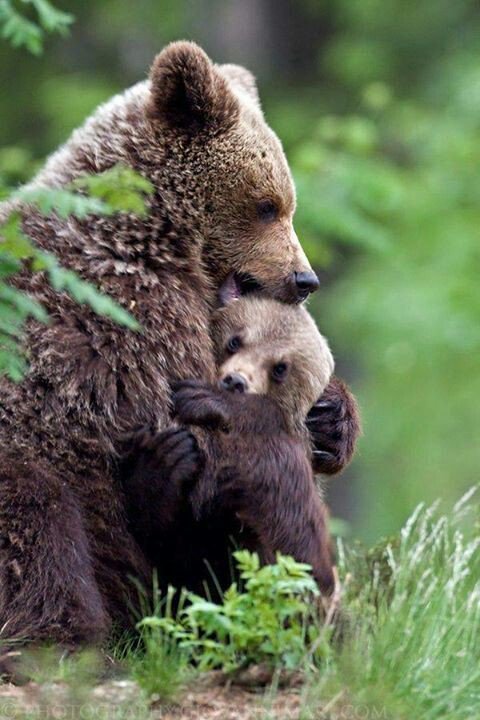 Улыбка Сердцем (@elenamir89) on Twitter photo 
