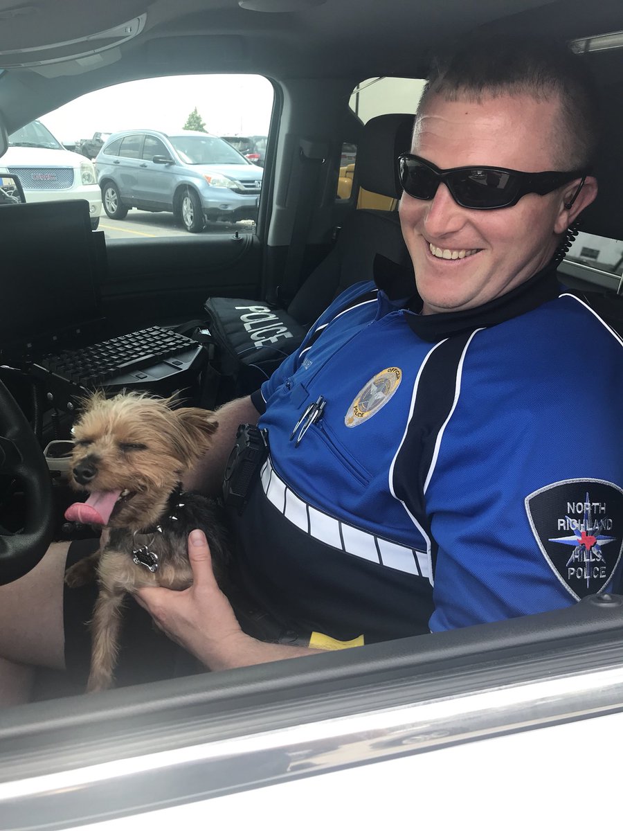 NRHPD's tweet photo. ☀️It is hot.... And inside a car is much hotter.☀️We rescued this little guy from a hot car today! Please don’t leave your pets in the car! https://t.co/cQai4a9FVY