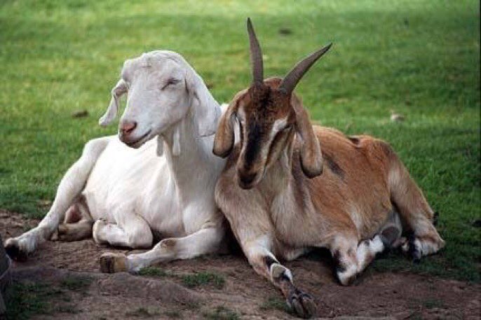 FootyHumour's tweet photo. Messi and Ronaldo at the airport waiting for their flights back home. https://t.co/R1GJASXlXo