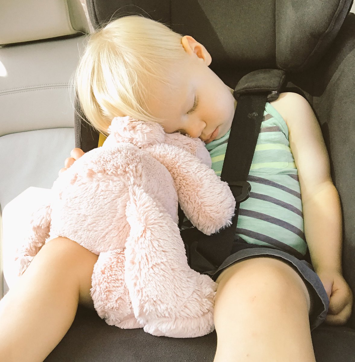 dctriumph's tweet photo. Otis almost stayed awake for the ride to urbaneast. https://t.co/WaQgp0gnJn